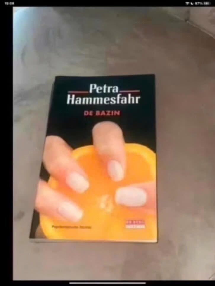 De Bazin - Petra Hammesfahr, Gelezen, Ophalen of Verzenden, Overige onderwerpen, Petra Hammesfahr