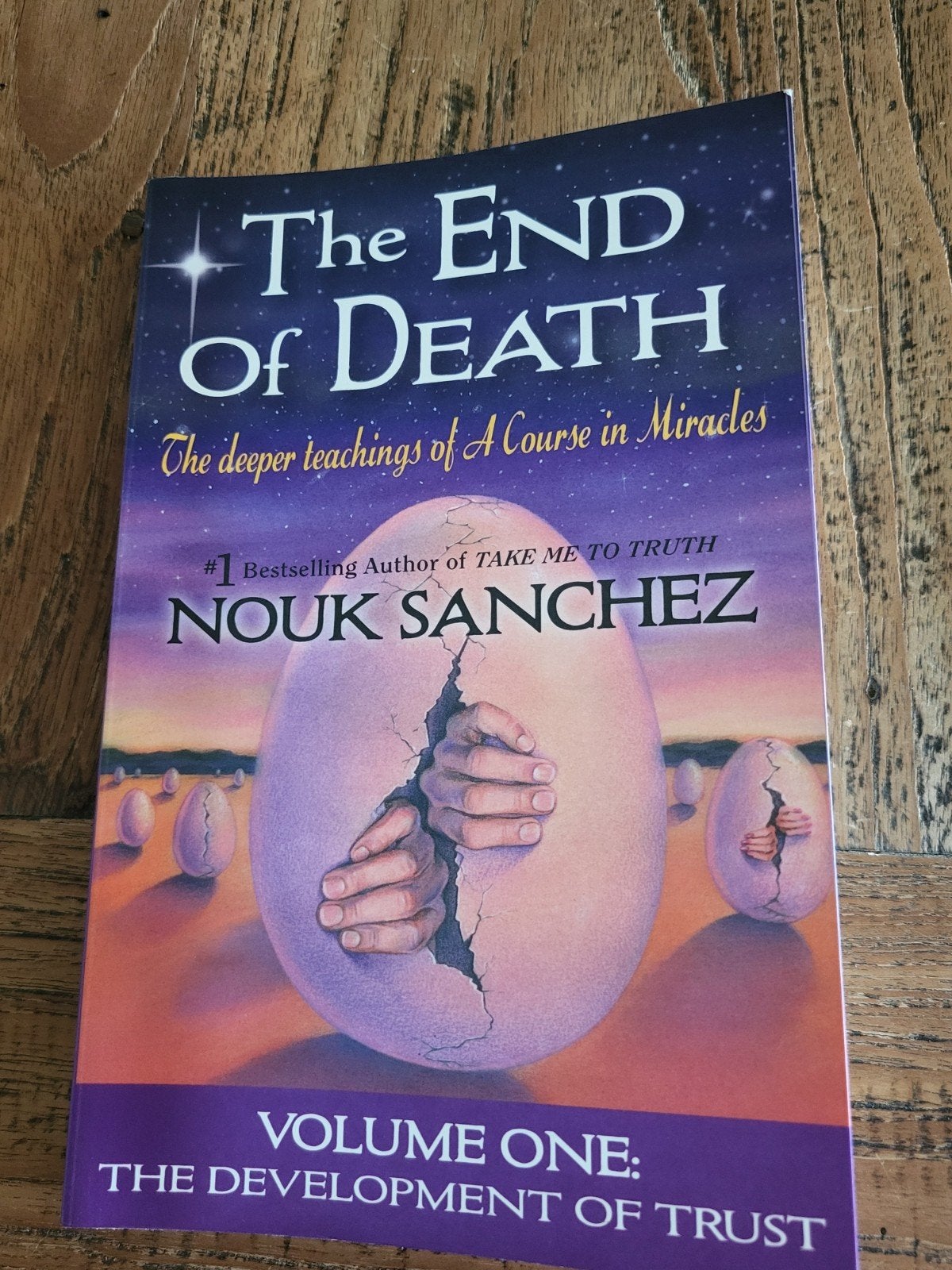 The End of Death - Nouk Sanchez (Nieuwstaat), Boeken, Achtergrond en Informatie, Spiritualiteit algemeen, Nieuw, Ophalen of Verzenden