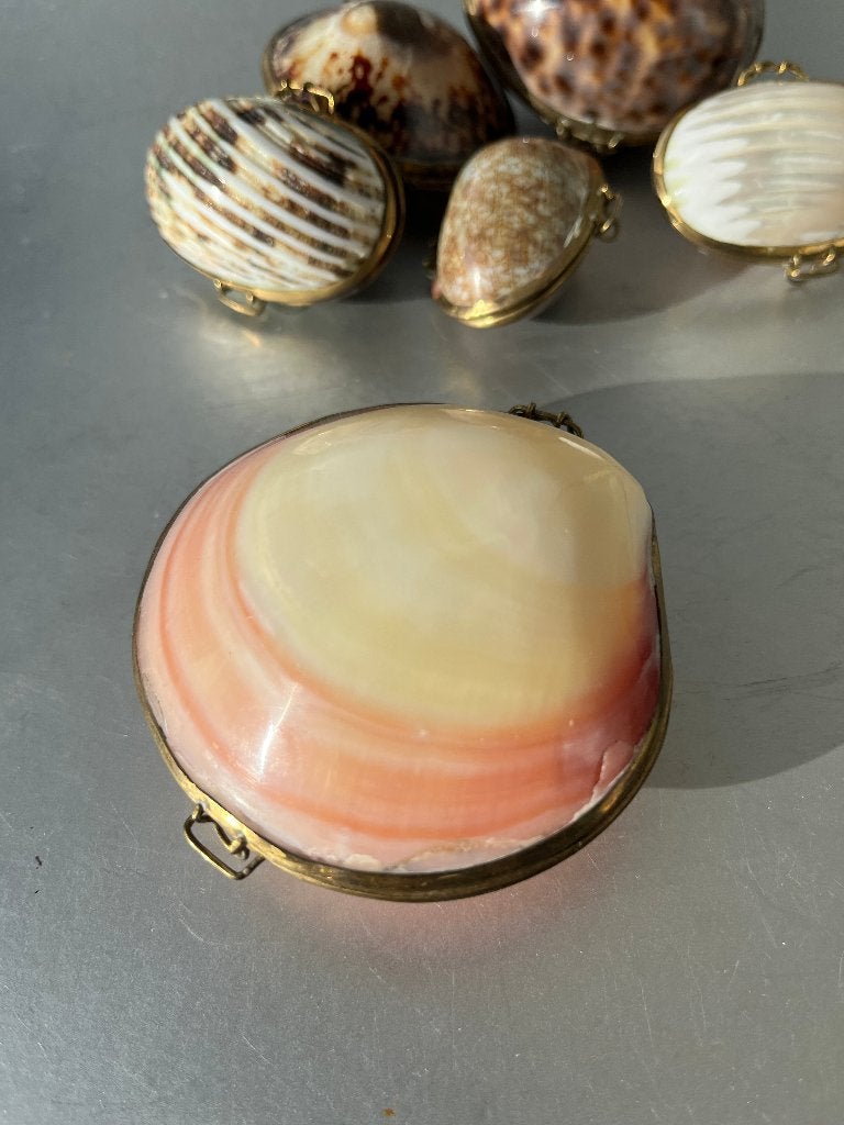 Mooi doosje; schelp, Antiek en Kunst, Ophalen of Verzenden
