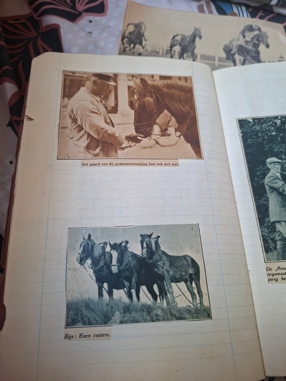 Oud Plaatjesalbum met Paardenafbeeldingen, Ophalen of Verzenden, Gelezen, Plaatjesalbum