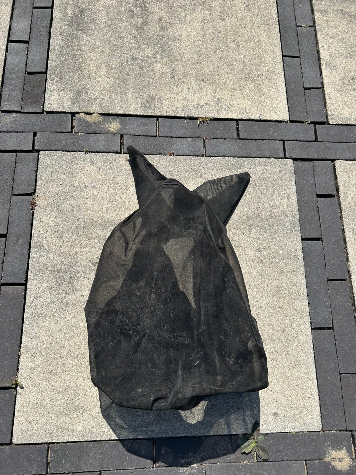 Mooi vliegenkap, Tuin en Terras, Ophalen, Zo goed als nieuw, Beton, Overige typen