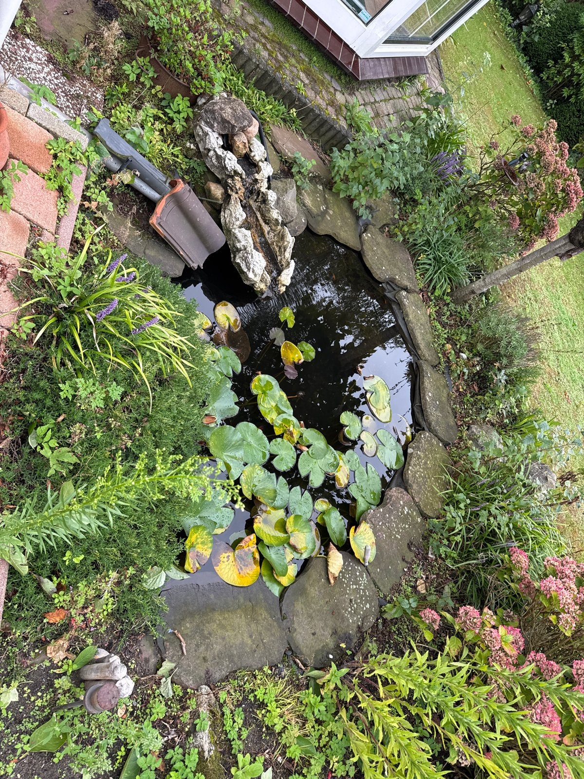 Vijver met waterlelies/rotswaterval/goudvissen; alles mee, Ophalen, Gebruikt