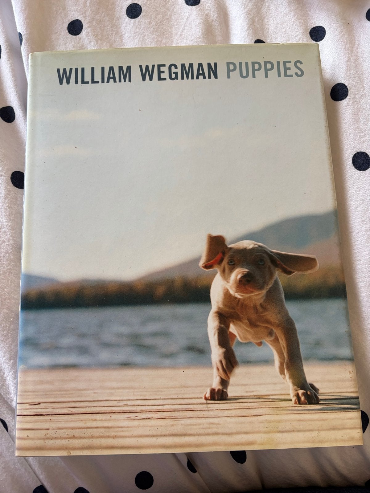 William Wegman Puppies - Prachtig Fotoboek, Ophalen of Verzenden, Zo goed als nieuw, Honden
