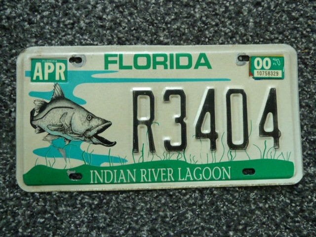 Kentekenplaat licenseplate Florida Indian River Lagoon USA, Verzenden, Gebruikt, Auto's