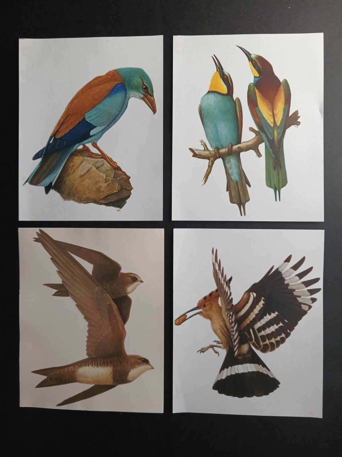 Bijeneter andere namen in omschrijving getekend Paul Barruel, Verzamelen, Gebruikt, Verzenden, 1940 tot 1960, Dier