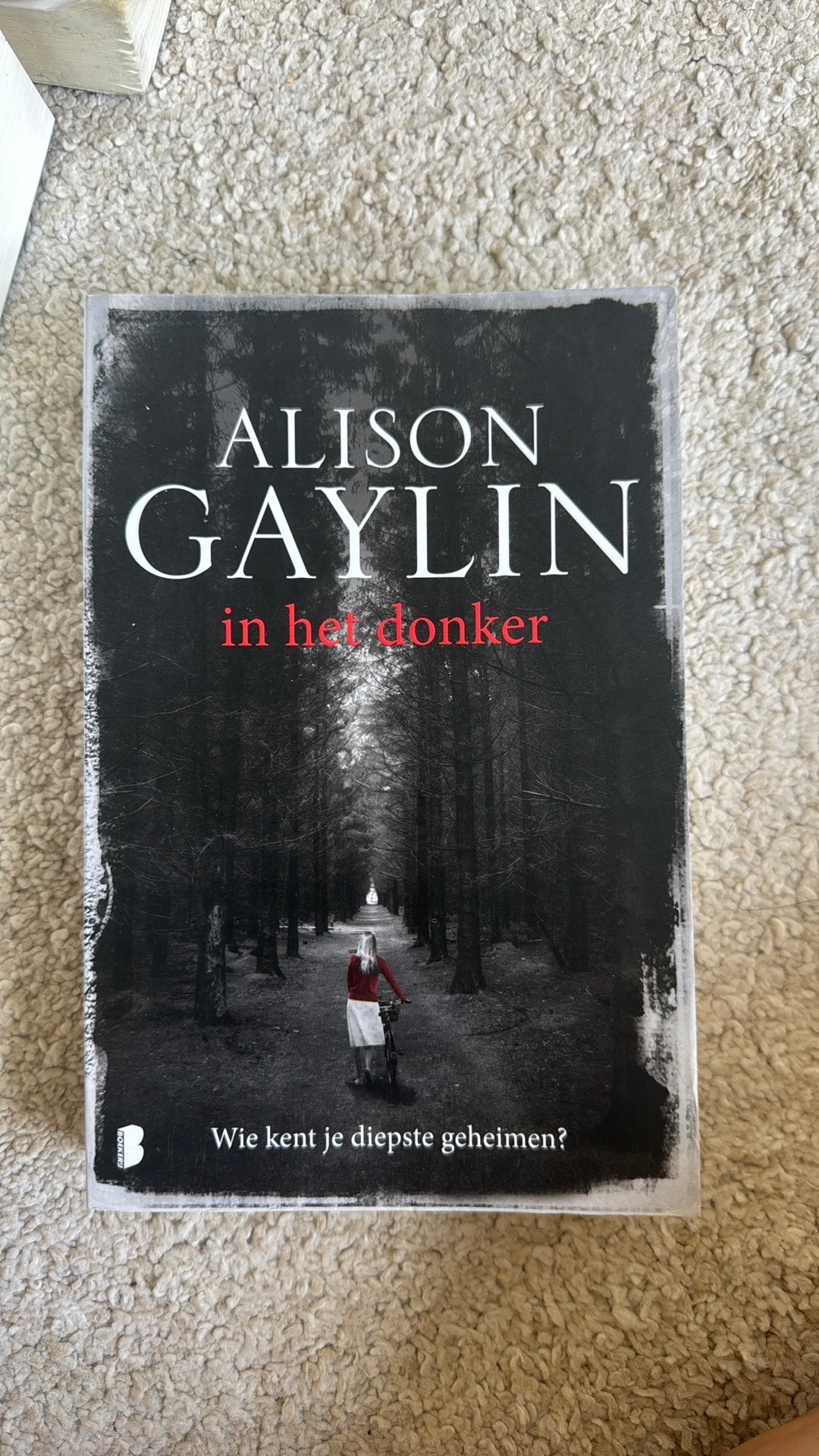 Alison Gaylin in het donker, Ophalen, Nieuw, Nederland