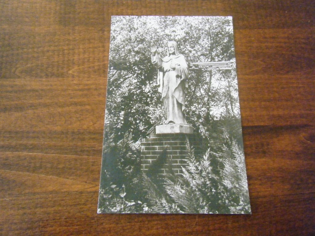 Y31 - Oirschot - H. Hartbeeld - Mooi/Oud, Ophalen of Verzenden, 1960 tot 1980, Noord-Brabant