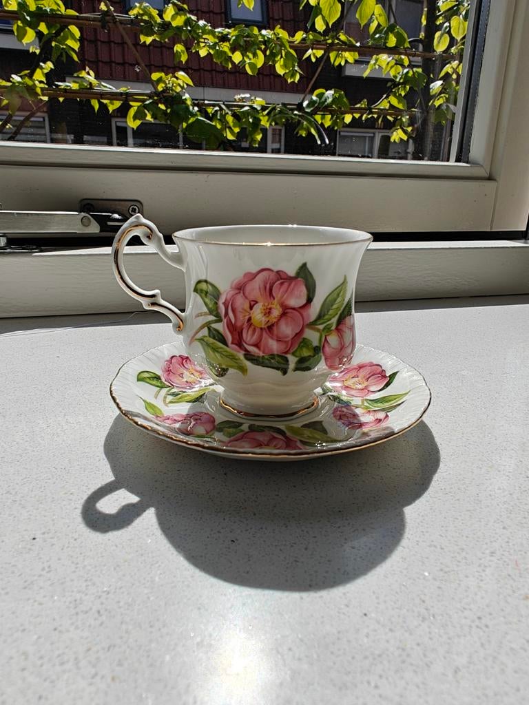Paragon kop en schotel, Ophalen of Verzenden