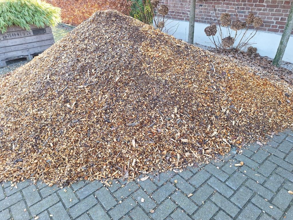 Gekneusd hout/houtsnippers, Tuin en Terras, Minder dan 100 cm, Lente, Overige soorten, Ophalen of Verzenden