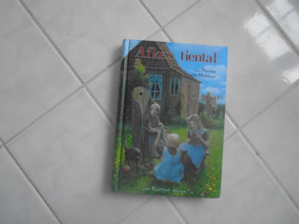 afke's tiental, nienke v. hichtum, Ophalen of Verzenden, Zo goed als nieuw, Nienke van Hichtum