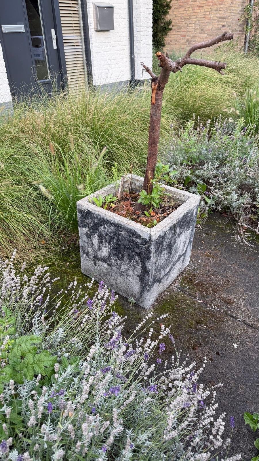 3 Bloembakken 50x50x50 cm composiet natuursteen look, Tuin en Terras, Ophalen, Steen, Gebruikt, Minder dan 60 cm