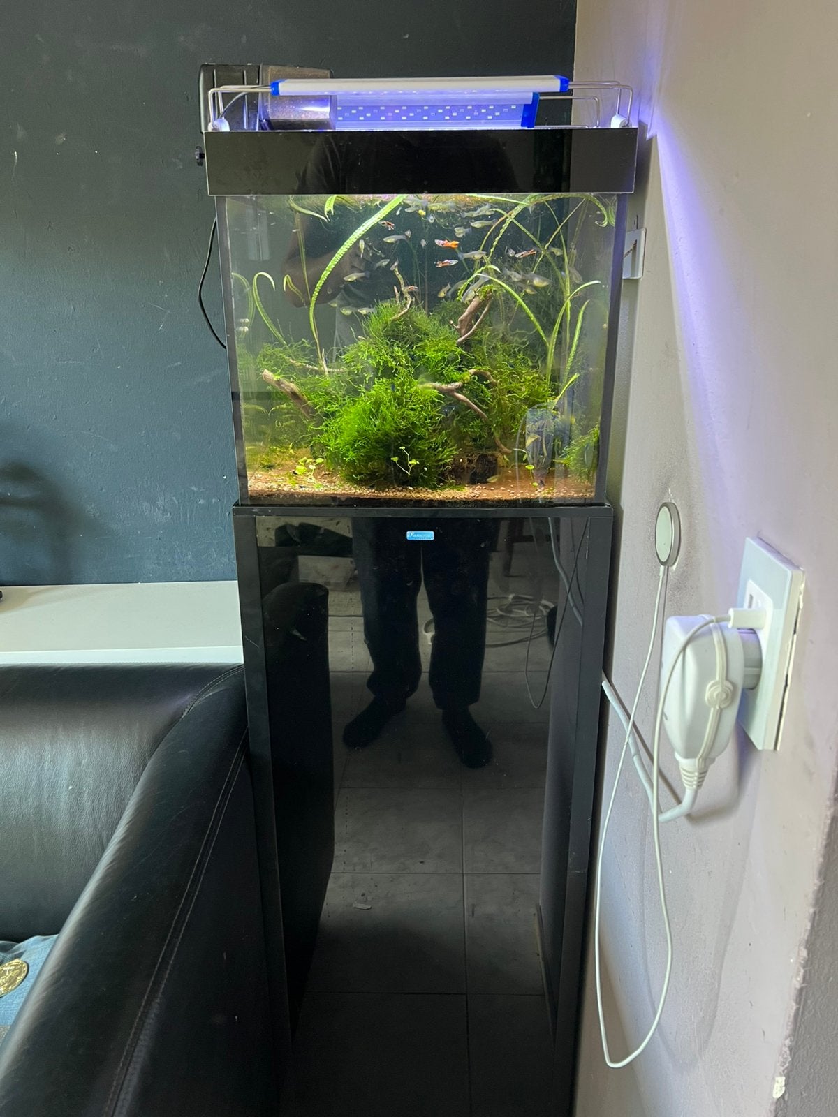 (Zeewater) aquarium 60 liter, Ophalen, Overige merken, Inclusief toebehoren, Gevuld zoetwateraquarium