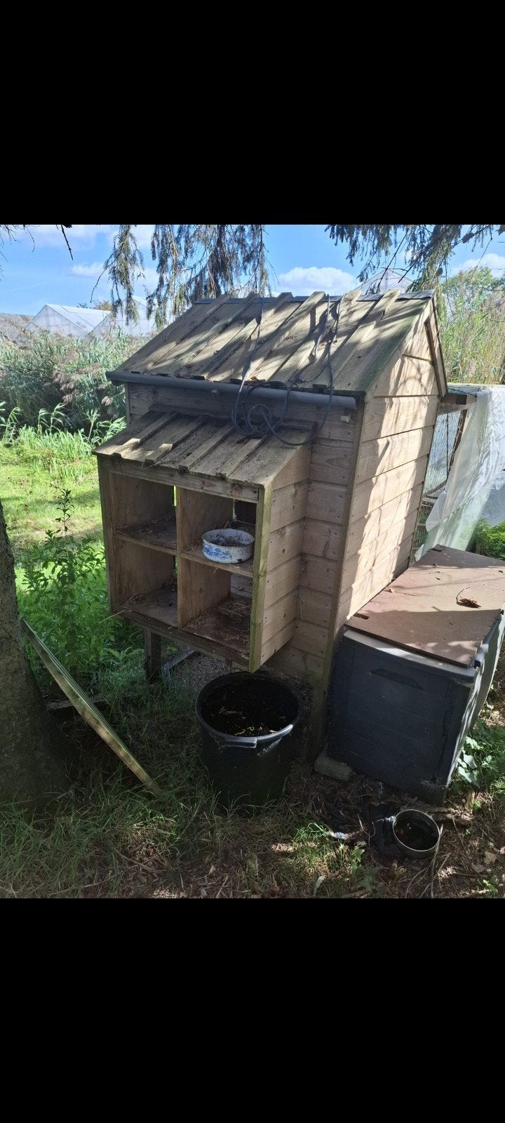 kippenhok igs kan zeker nog jaren mee, Ophalen, Gebruikt, Kippenhok of Kippenren