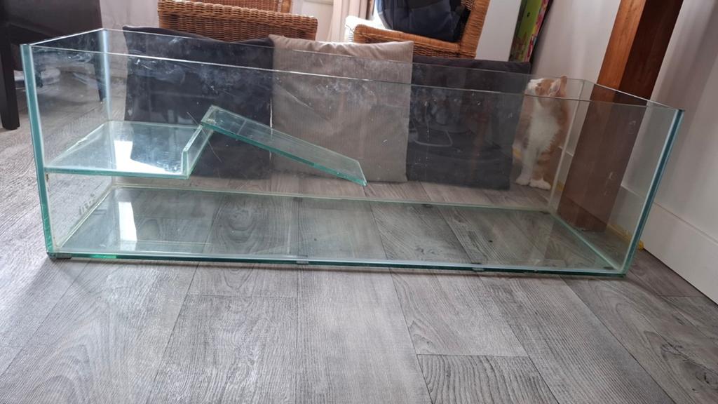 Terrarium hamster/schildpadden bak, Dieren en Toebehoren, Ophalen