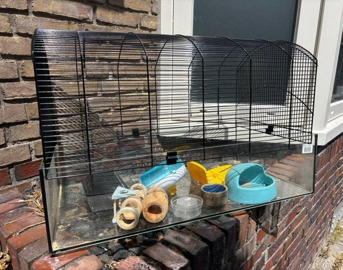 Mooie ruime hamsterkooi inclusief accessoires, Dieren en Toebehoren, Kooi, Minder dan 75 cm, Zo goed als nieuw, Ophalen