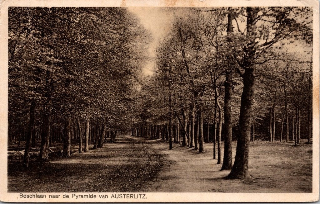 Austerlitz Natuur - 6 vintage ansichtkaarten, Verzenden, 1940 tot 1960, Gelopen, Utrecht