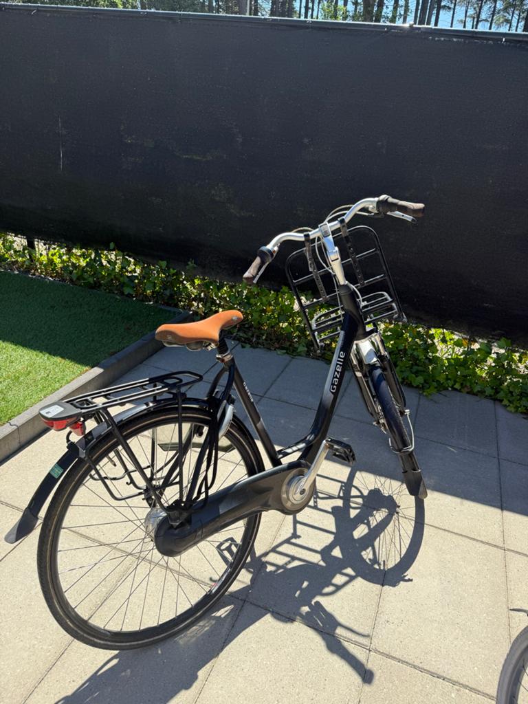 Gazelle stadsfiets met lage instap en mandje, Ophalen, Terugtraprem, Gazelle, 53 tot 56 cm