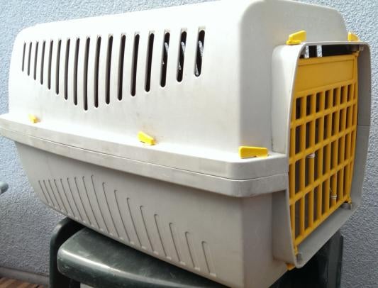 Transportkooi voor kleine hond en poes., Ophalen of Verzenden, Gebruikt
