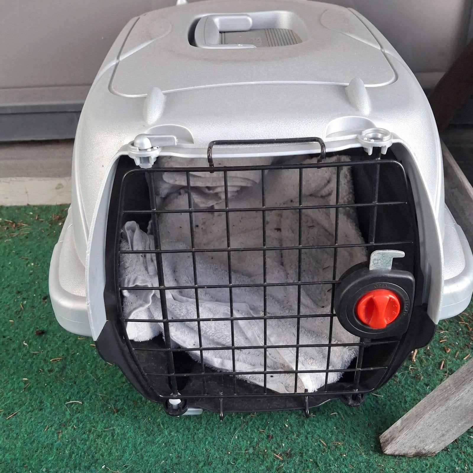 Reiskoffer kat, Dieren en Toebehoren, Ophalen