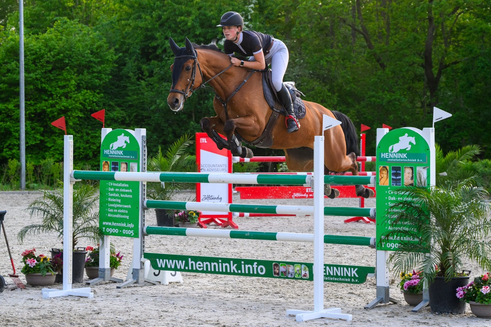 Professionele Opleiding & Doortraining van Sportpaarden