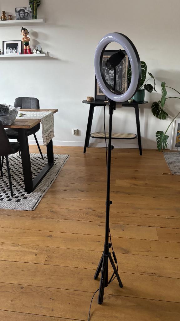 Ringlamp, Ophalen, Zo goed als nieuw, Minder dan 50 cm