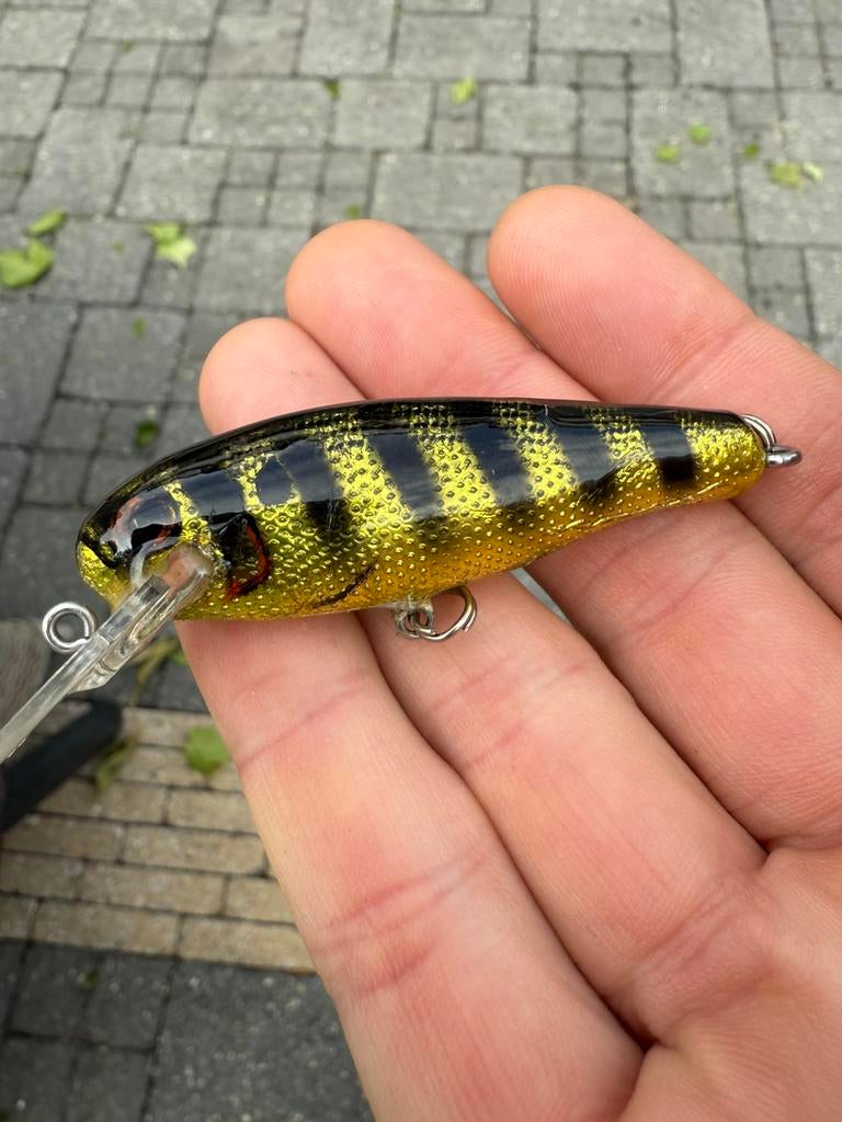 Bagley’s Mighty Minnow (deze zie je niet vaak), Watersport en Boten, Hengelsport | Roofvissen, Ophalen of Verzenden, Zo goed als nieuw