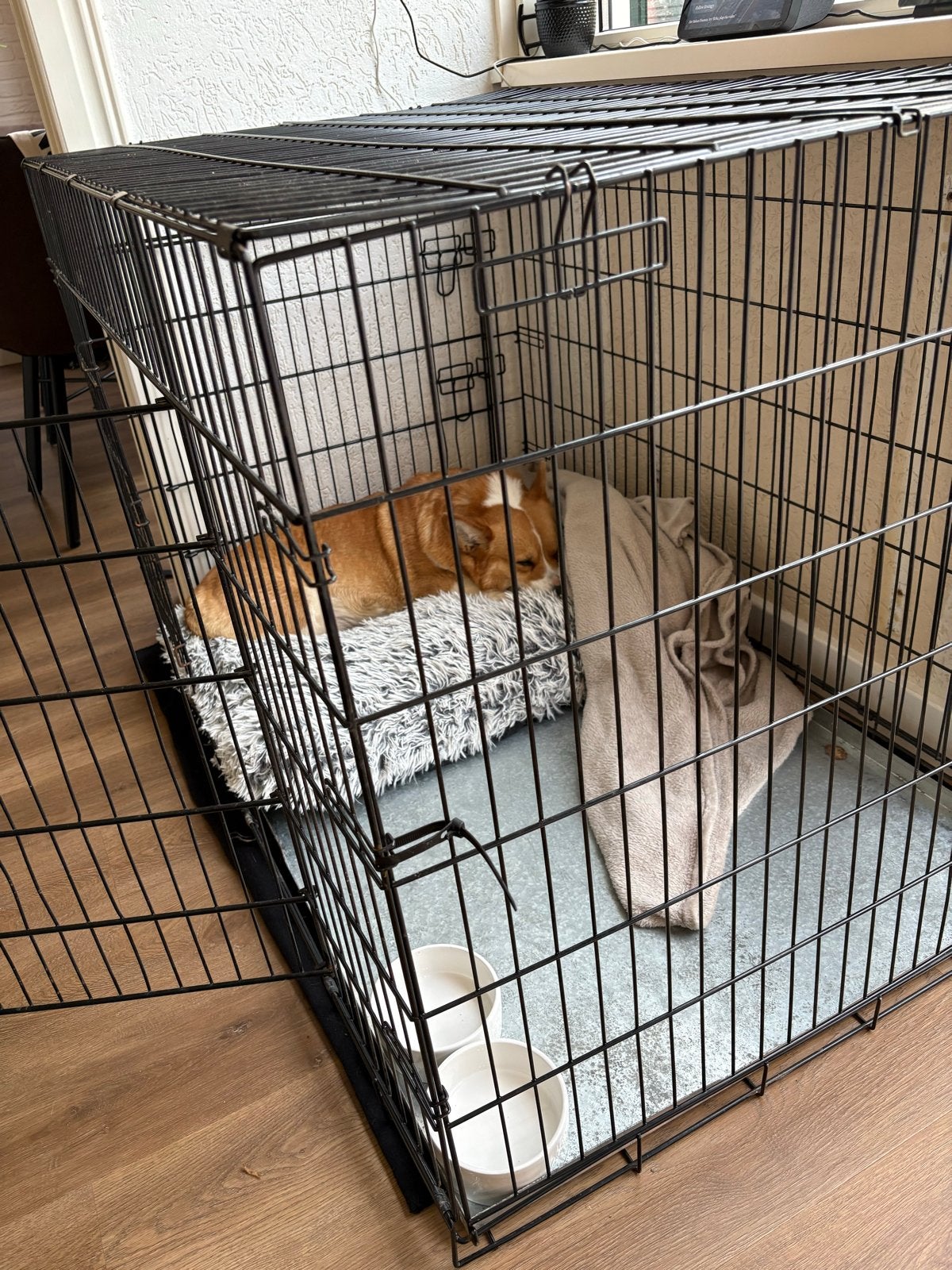 Honden bench, Dieren en Toebehoren, Ophalen, Zo goed als nieuw