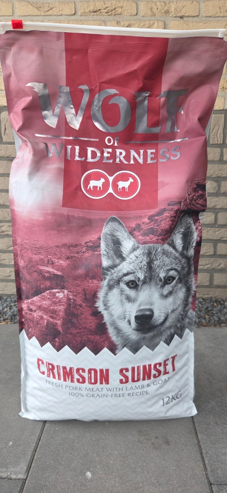 Wolf of Wilderness, Dieren en Toebehoren, Ophalen, Hond