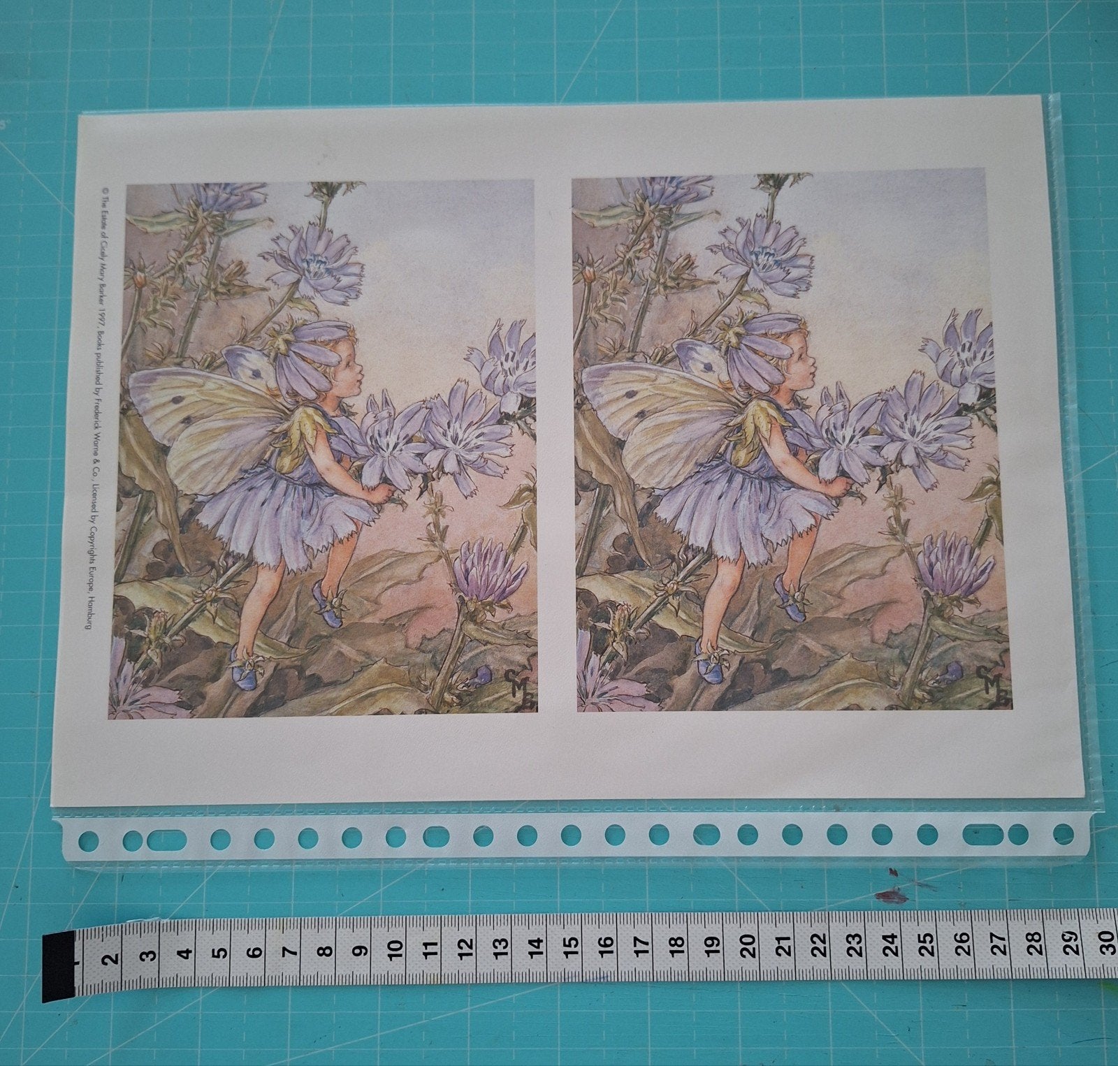flower fairies plaatjes, Hobby en Vrije tijd, Kaarten | Zelf maken, Ophalen of Verzenden, Zo goed als nieuw, Fantasie, Knipvel