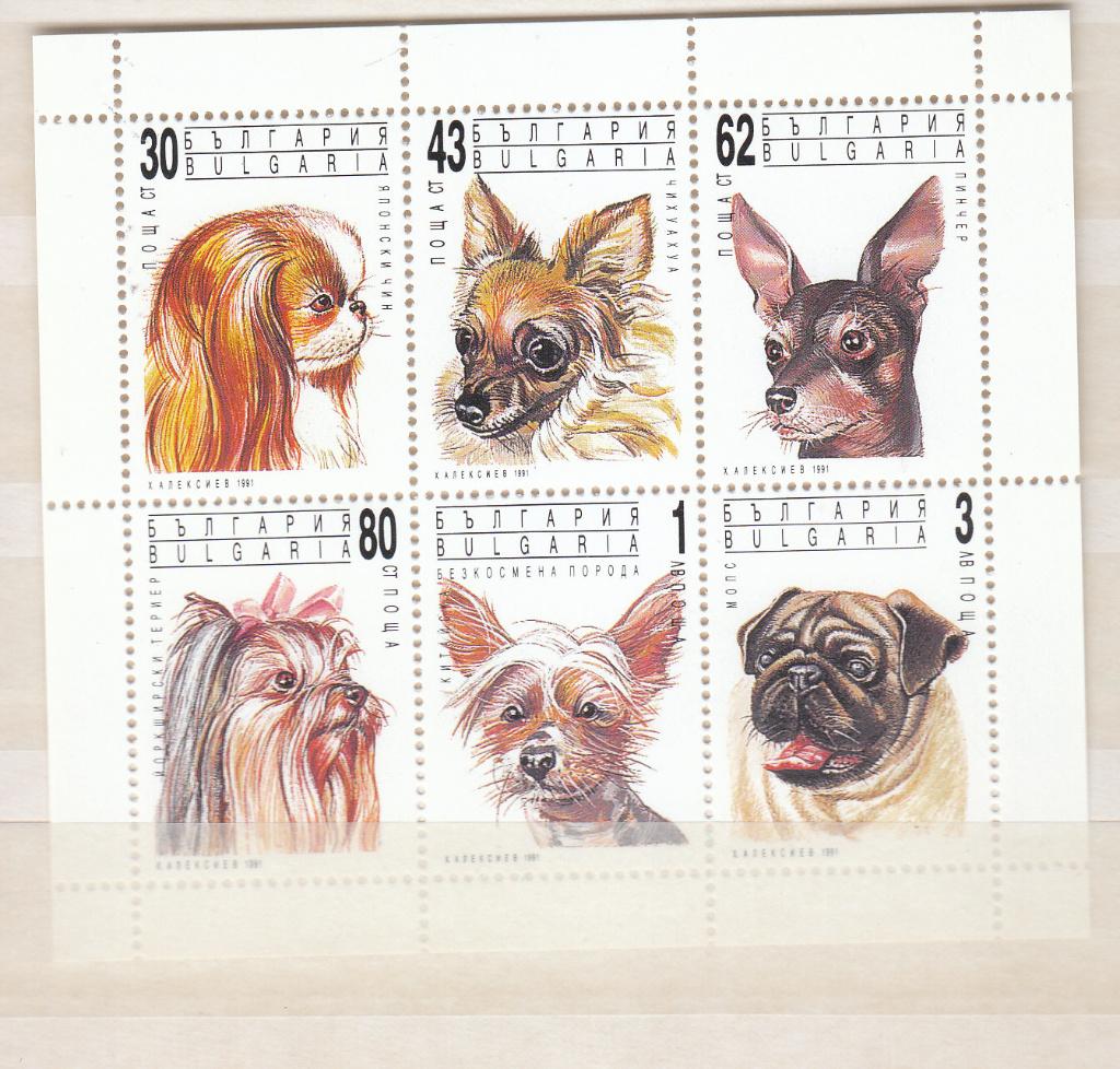 A063 bulgarije.honden 1991 blok 3929 3934 postris, Ophalen of Verzenden, Bulgarije, Postfris