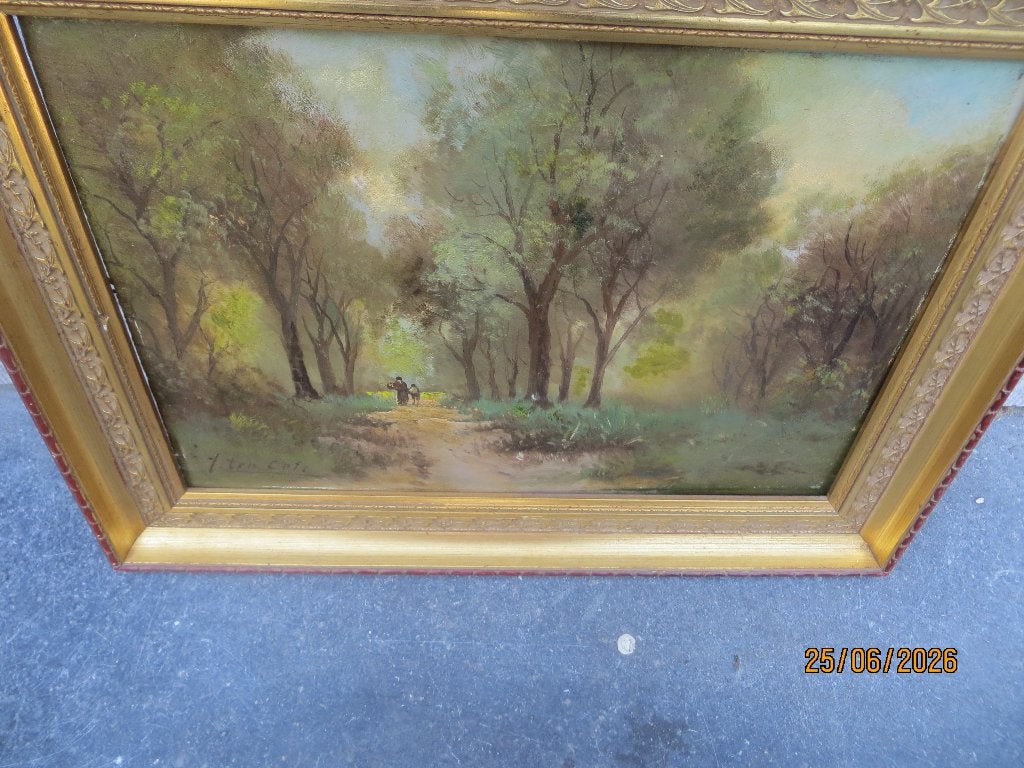 Mooi schilderij BOSGEZICHT Hendrik Jan ten Cate, 1867-1955,, Ophalen, Landschap