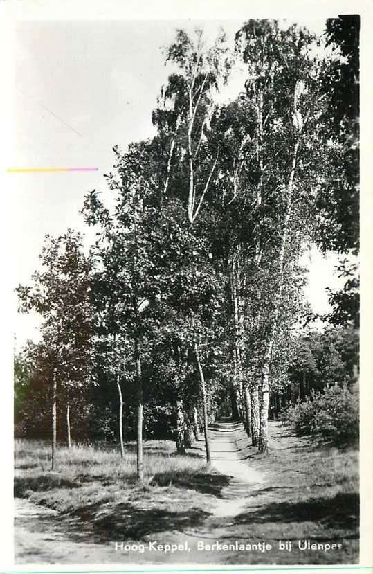 380-056-011 Hoog Keppel Berkenlaantje bij Ulenpas, Verzenden, Voor 1920, Gelderland