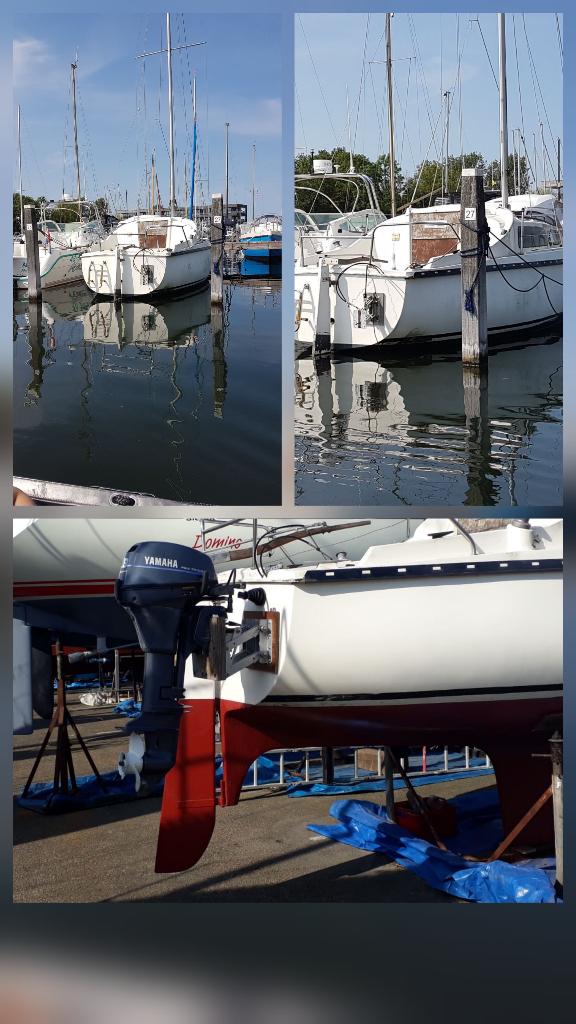 Zeilboot Daimio, Ophalen, 6 meter of meer, Gebruikt, Overige typen