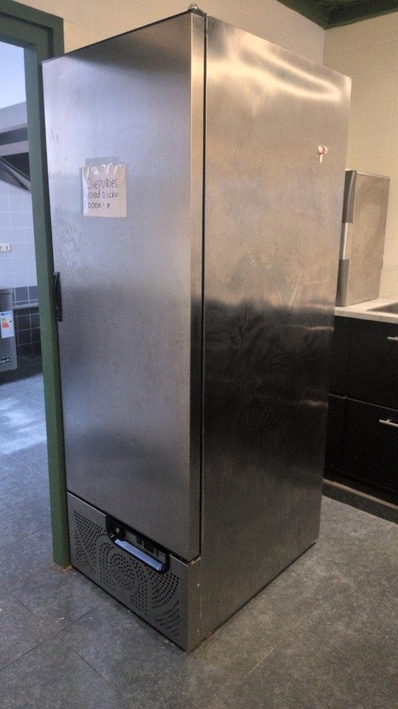 professionele horecavrieskast (upright freezer), Zakelijke goederen, Ophalen, Gebruikt, Koelen en Vriezen