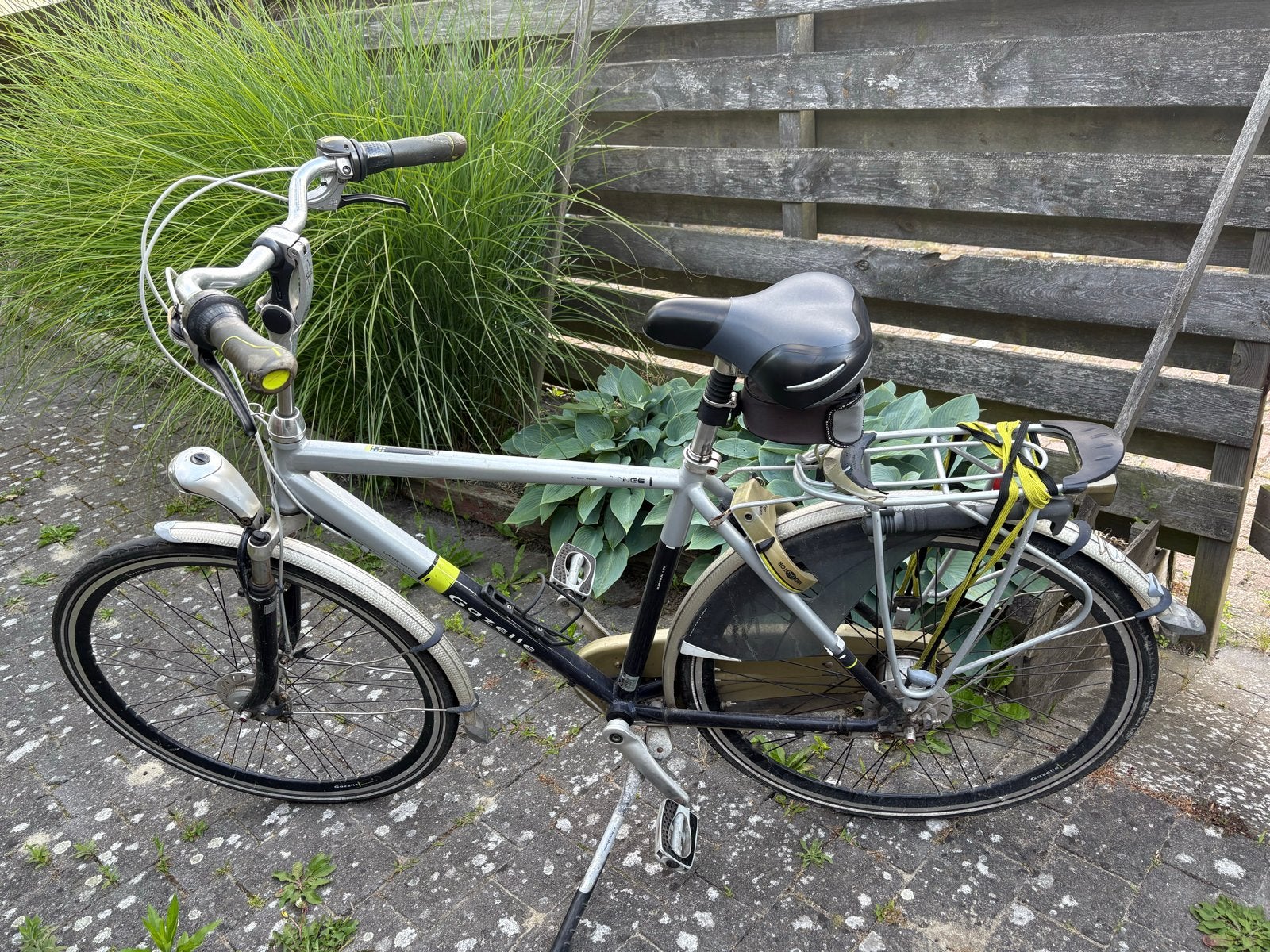 Gazelle Limited Edition Damesfiets, Ophalen, Velgrem, Versnellingen, Gazelle