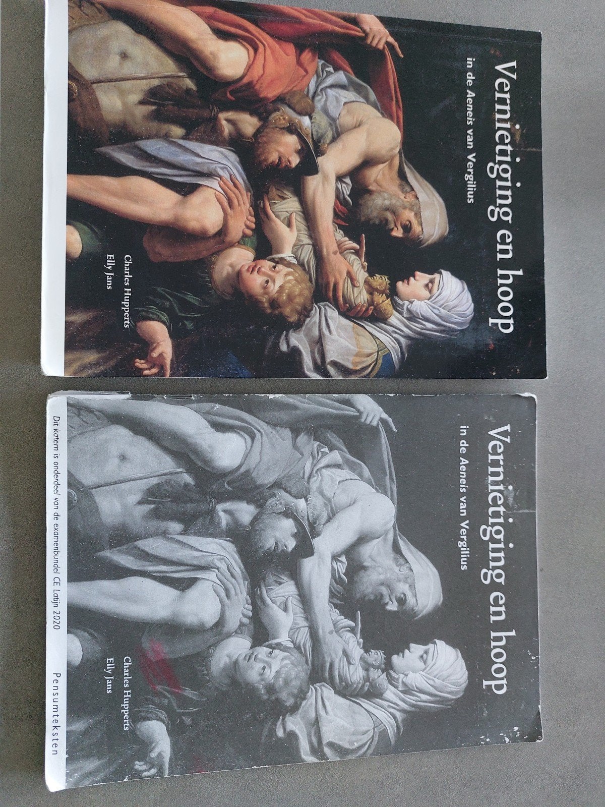 Vernietiging en hoop - In de Aeneis van Vergilius, Boeken, Gelezen, Alpha, Charles Hupperts, Elly Jans, HBO