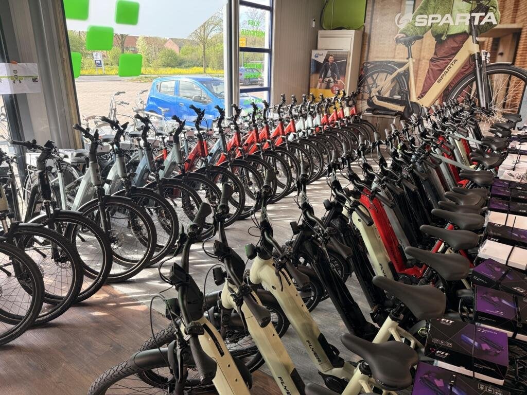 Flyer Gotour 7.23, Nieuw, Overige merken
