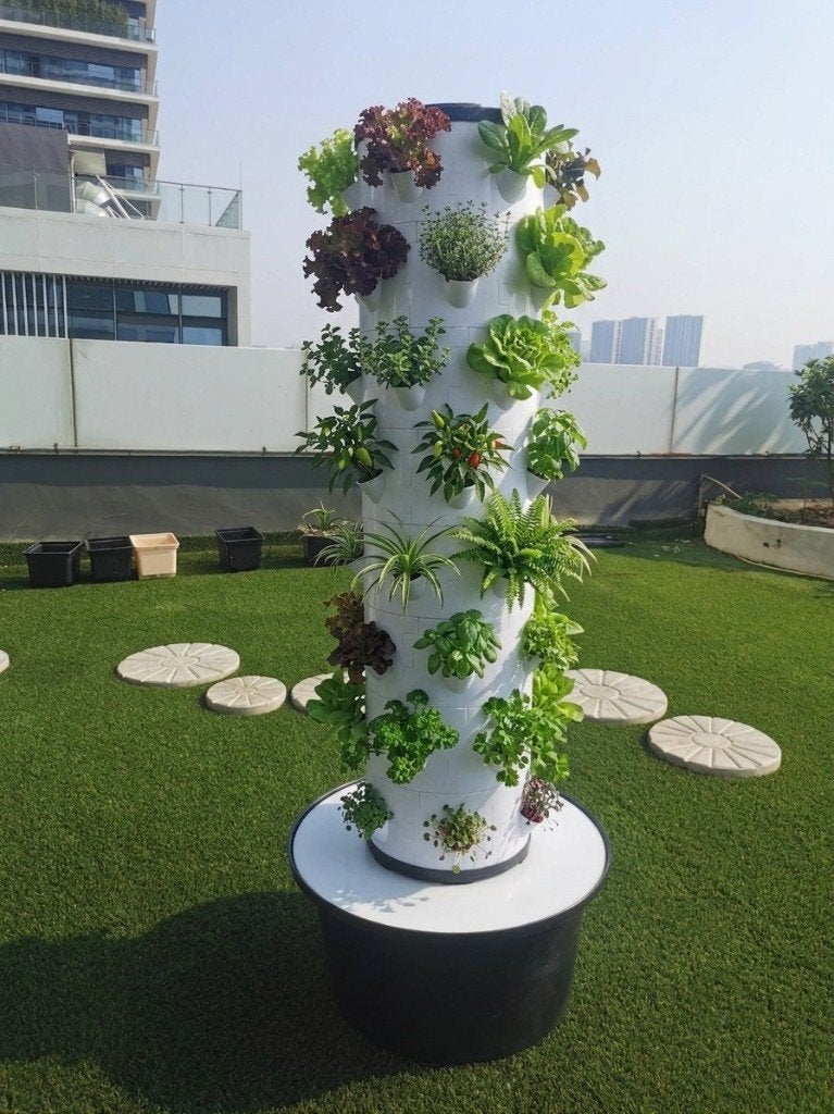 Verticale moestuin hydroponisch - 50% korting | OP=OP, Ophalen, Eenjarig, Volle zon