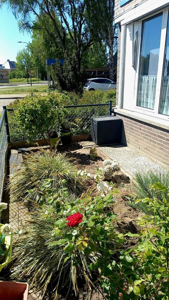Tuinvrouw aangeboden, Ophalen, Nieuw