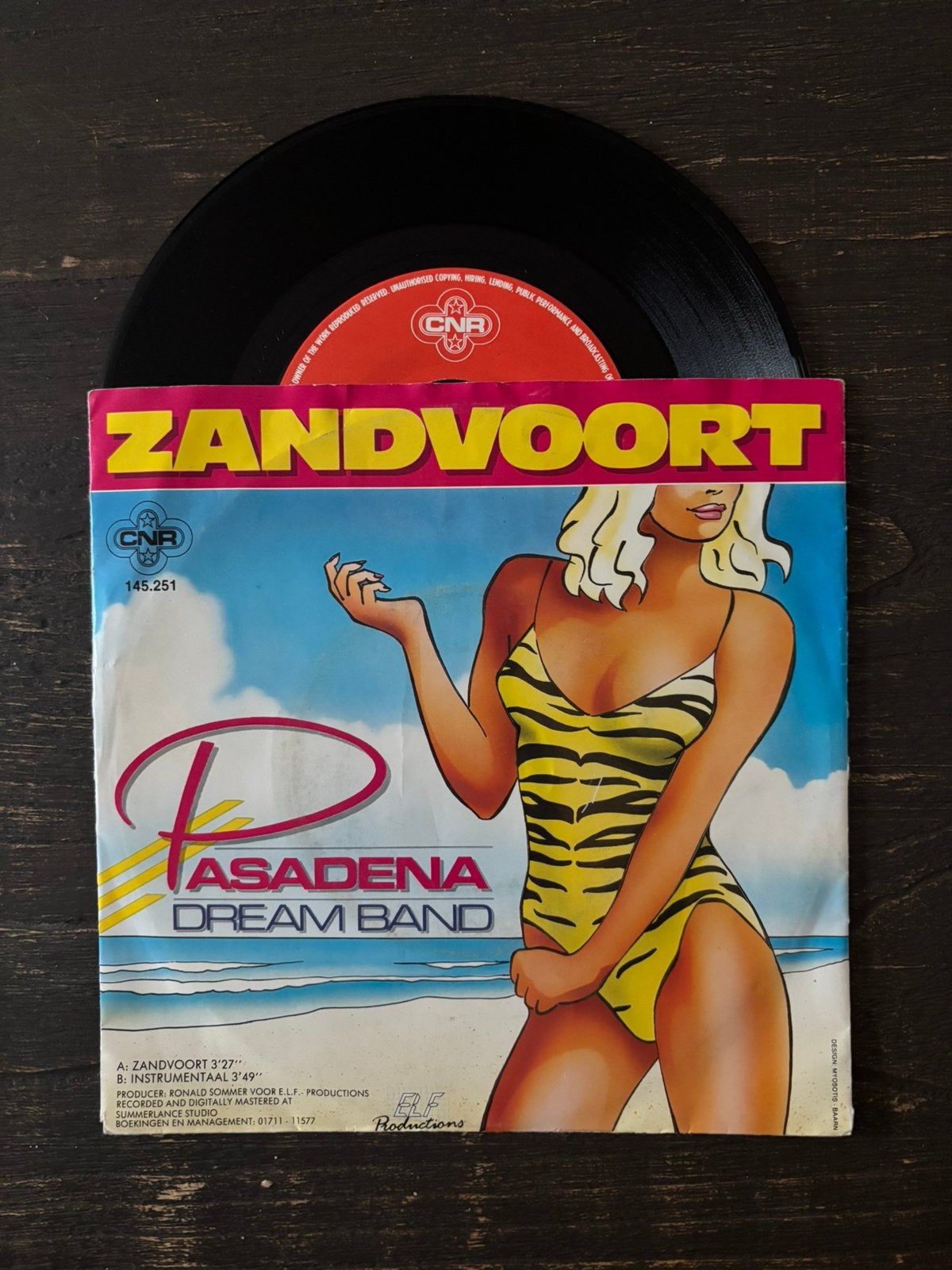 Pasadena Dream Band - Zandvoort, Ophalen of Verzenden, Zo goed als nieuw, Pop