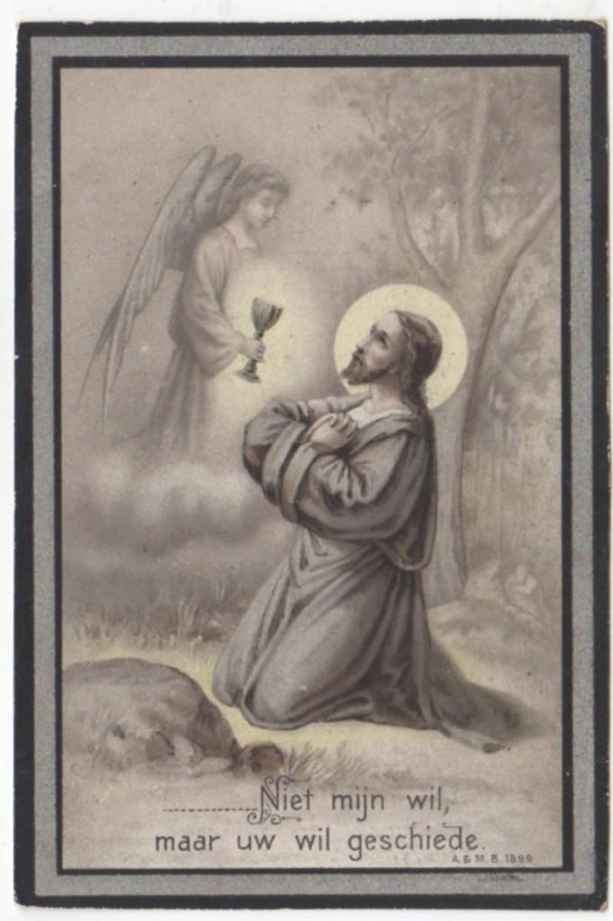 Theophiel Ide 1848 Oedelen + 1907 Odelen, 58 jaar oud, Verzenden