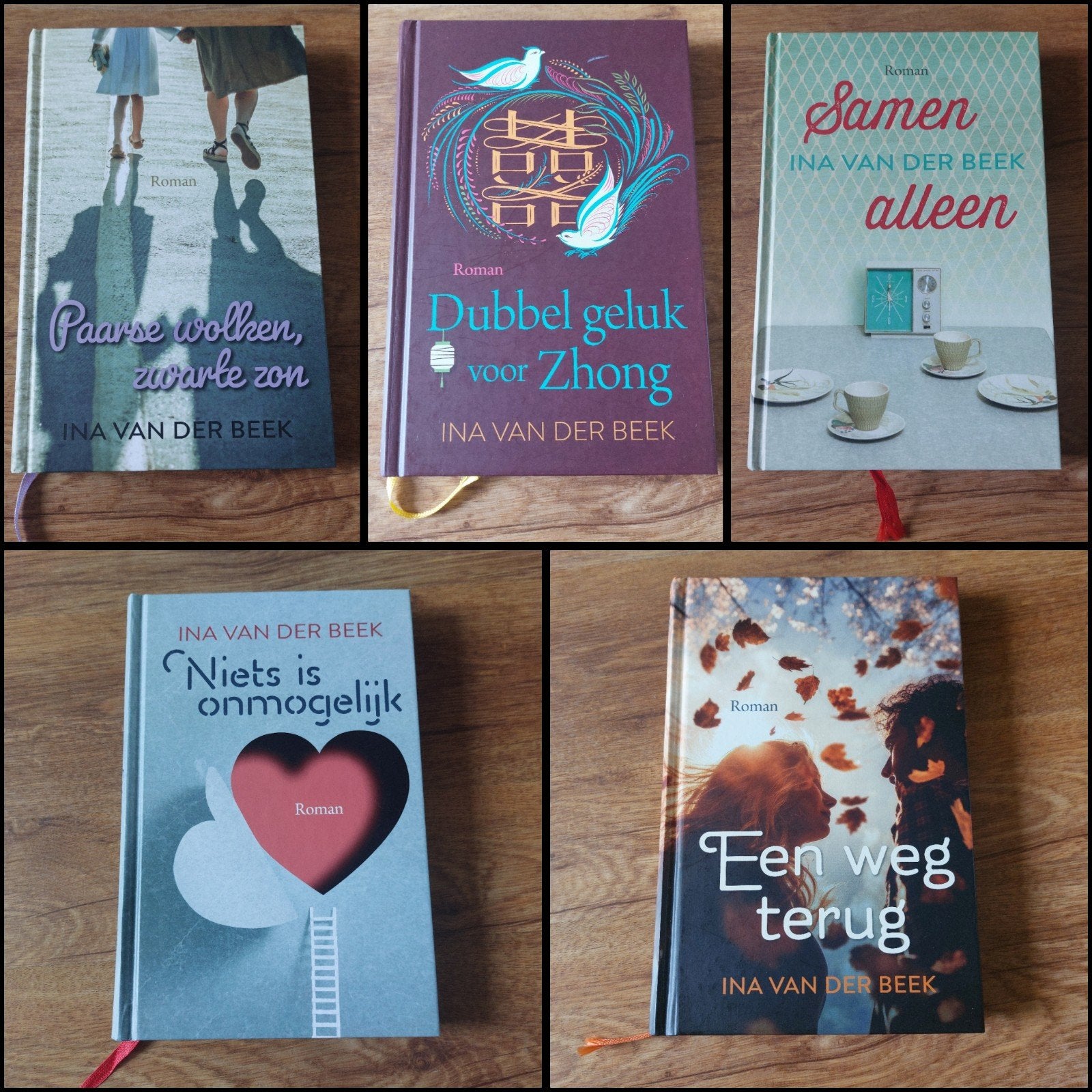 Romans van Ina van der Beek • o.a. Een weg terug, Ophalen of Verzenden, Zo goed als nieuw, Ina van der Beek
