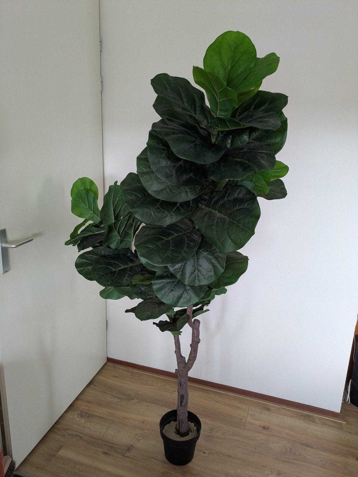 Grote kunstplant Ficus Lyrata Vioolbladplant 150 cm, Ophalen