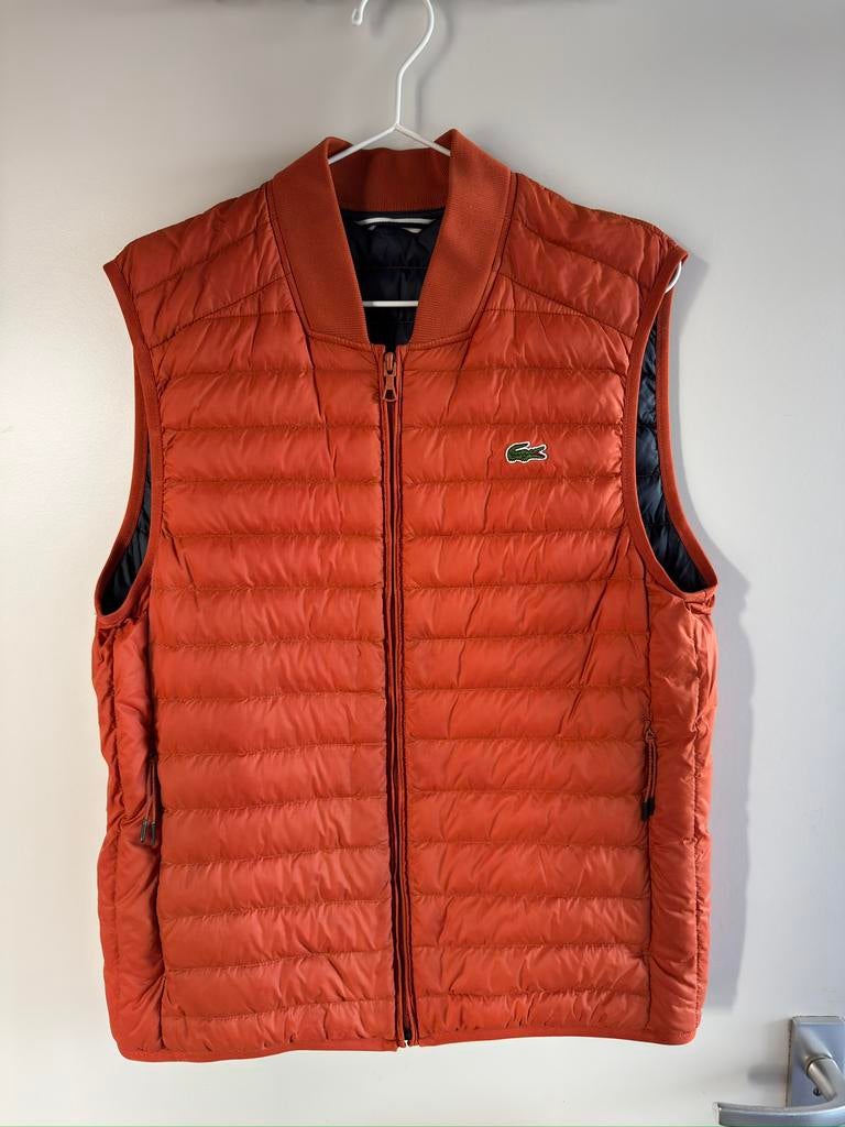 Koningsdag - Lactose Bodywarmer, Ophalen of Verzenden, Zo goed als nieuw, Maat 48/50 (M), Oranje