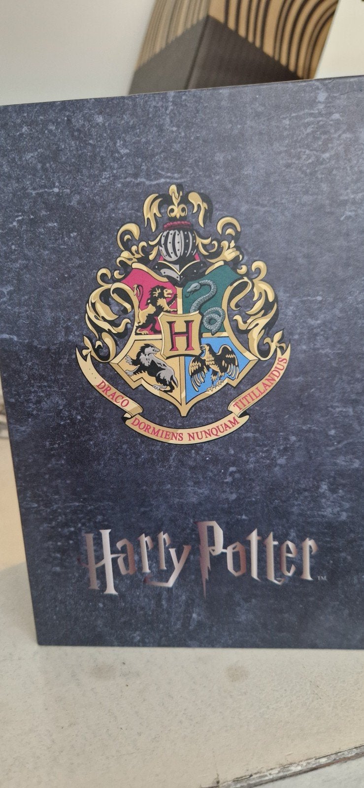 Harry Potter toverstokken set met Marauder's Map, Ophalen of Verzenden, Gebruikt, Replica