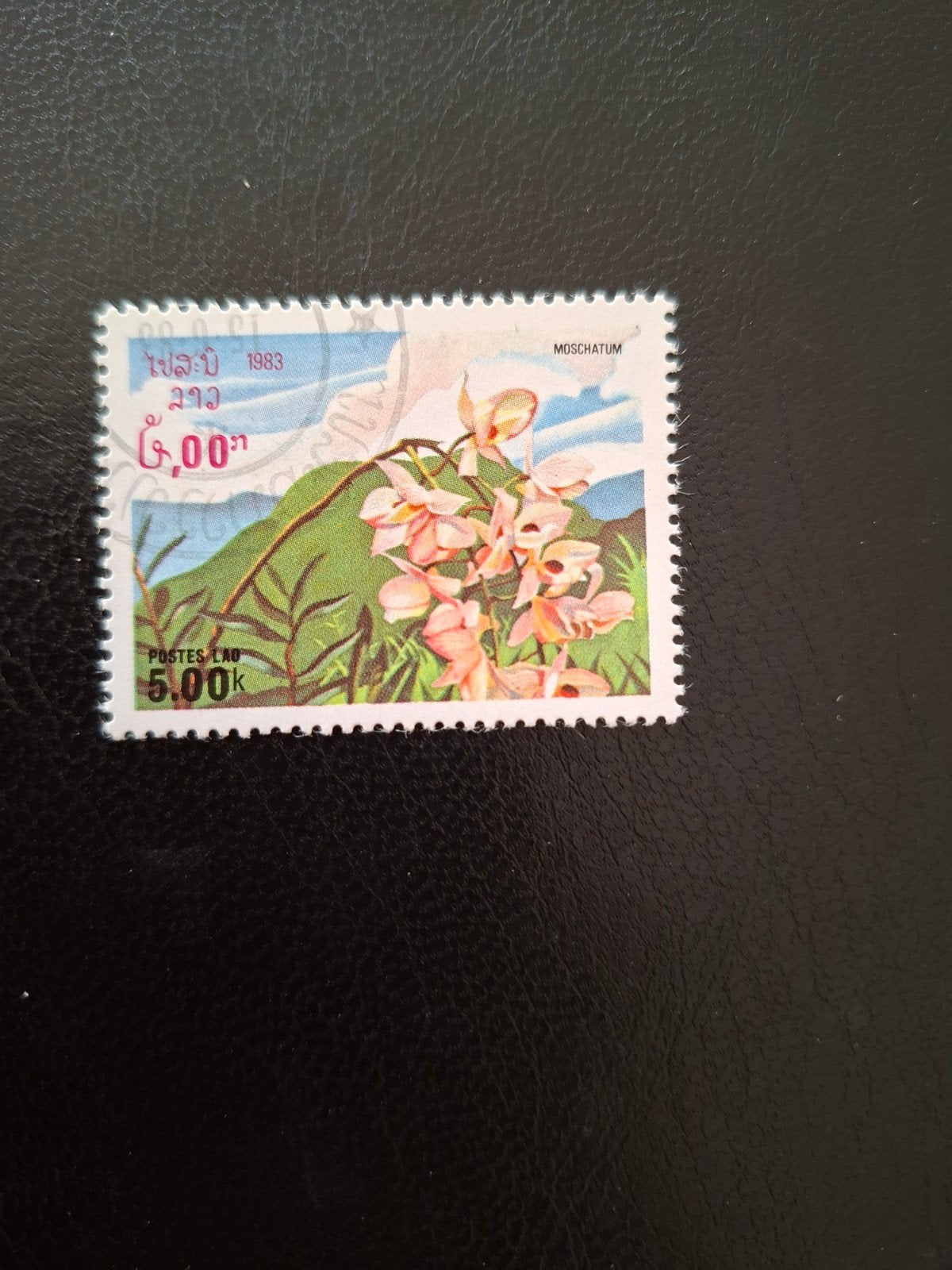 Bloemen.  Laos., Ophalen of Verzenden, Dier of Natuur