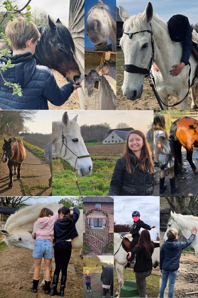 Re-connect met paardjes, Overige