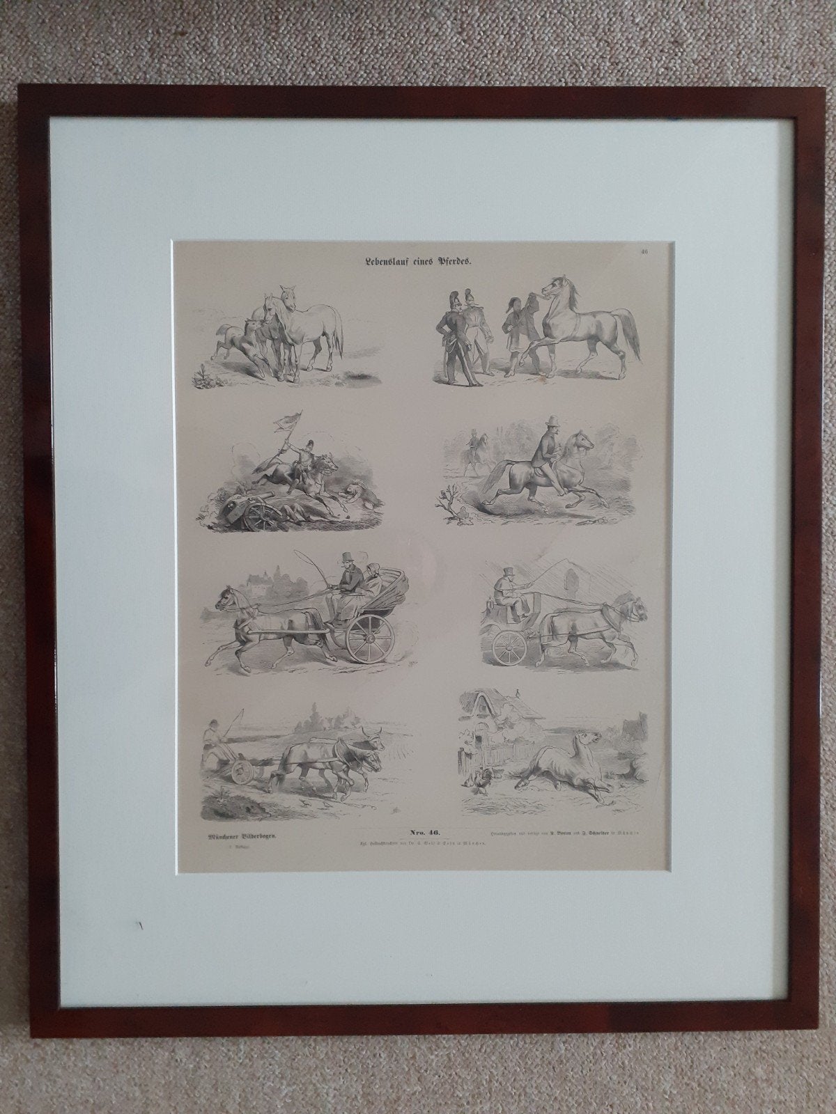 ingelijste houtsnede levensloop paard, Ophalen, 1800 - 1899, Genummerd, Houtsnede