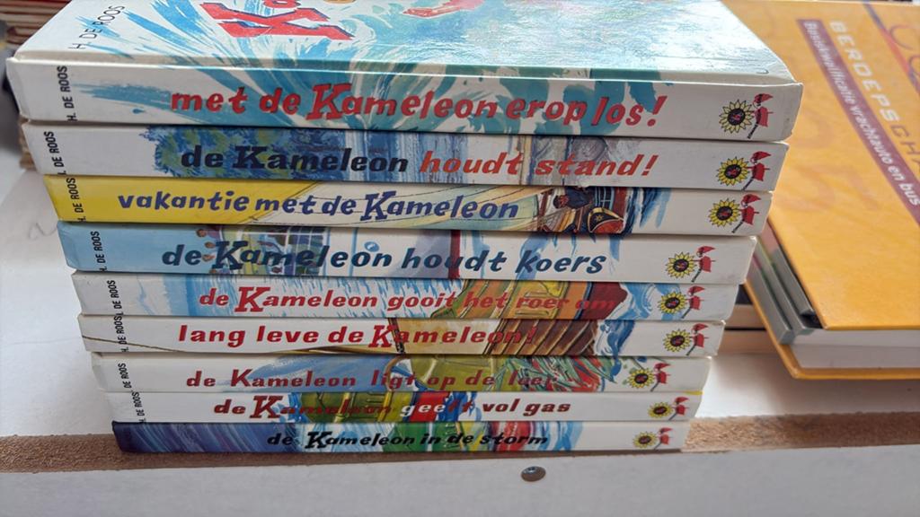 Kameleon boeken!, Ophalen of Verzenden, Gelezen, Fictie algemeen