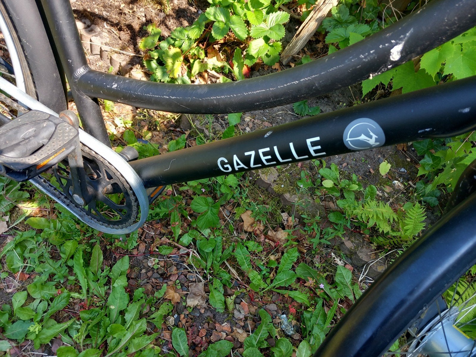 Gazelle fiets, Ophalen of Verzenden, Minder dan 10 versnellingen, Gazelle